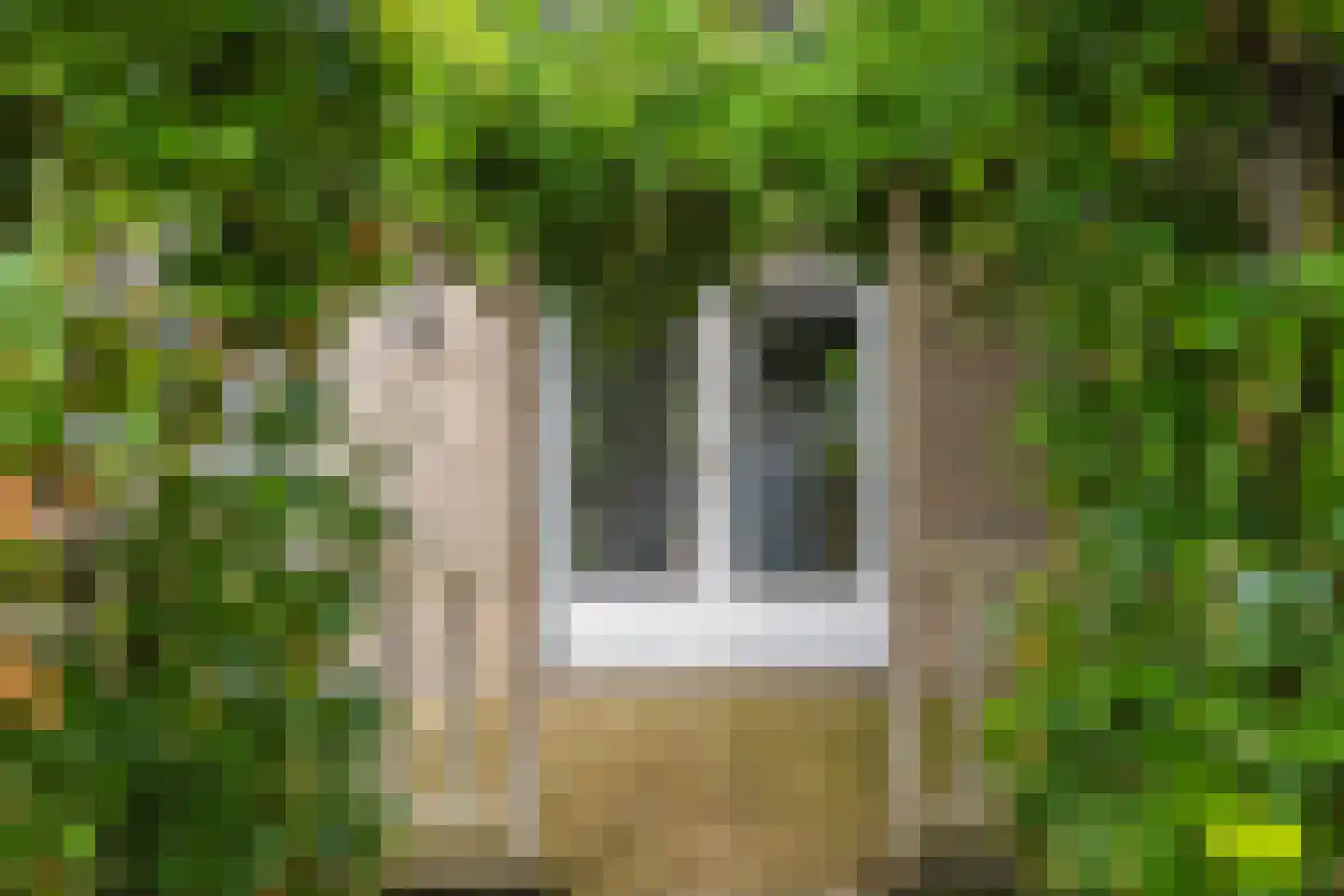 Steegstraat 34 Meijel thumbnail 43