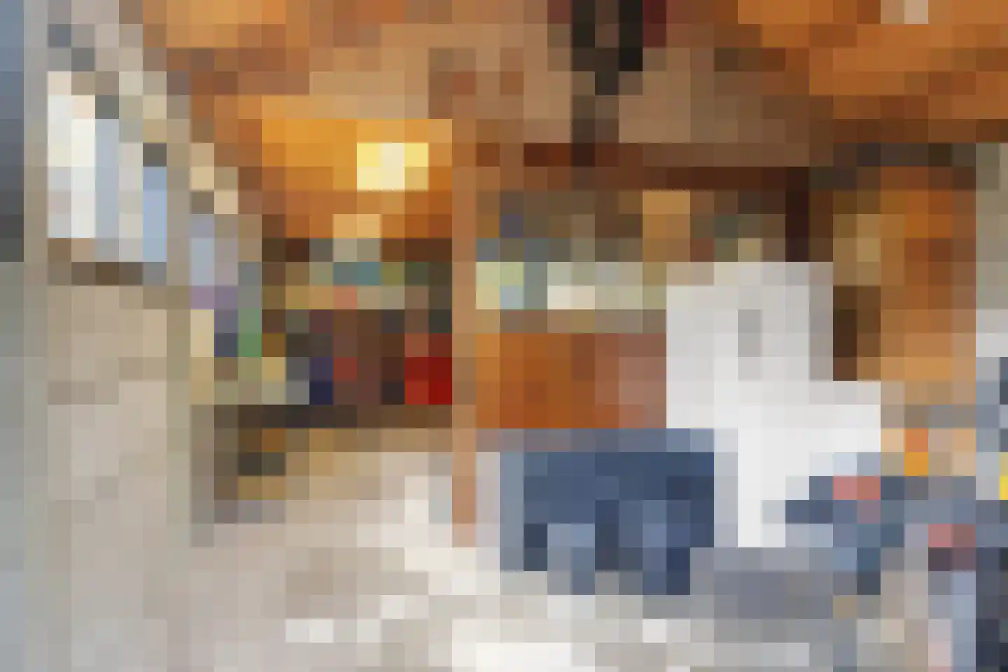 Steegstraat 34 Meijel thumbnail 47