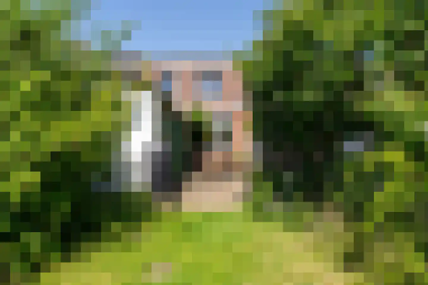 Steegstraat 34 Sittard thumbnail 14