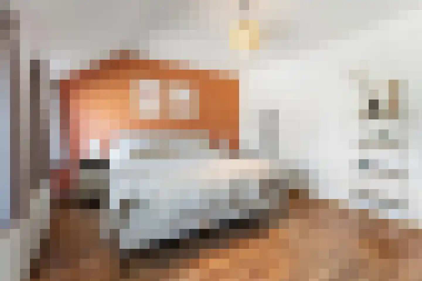 Steegstraat 34 Sittard thumbnail 18