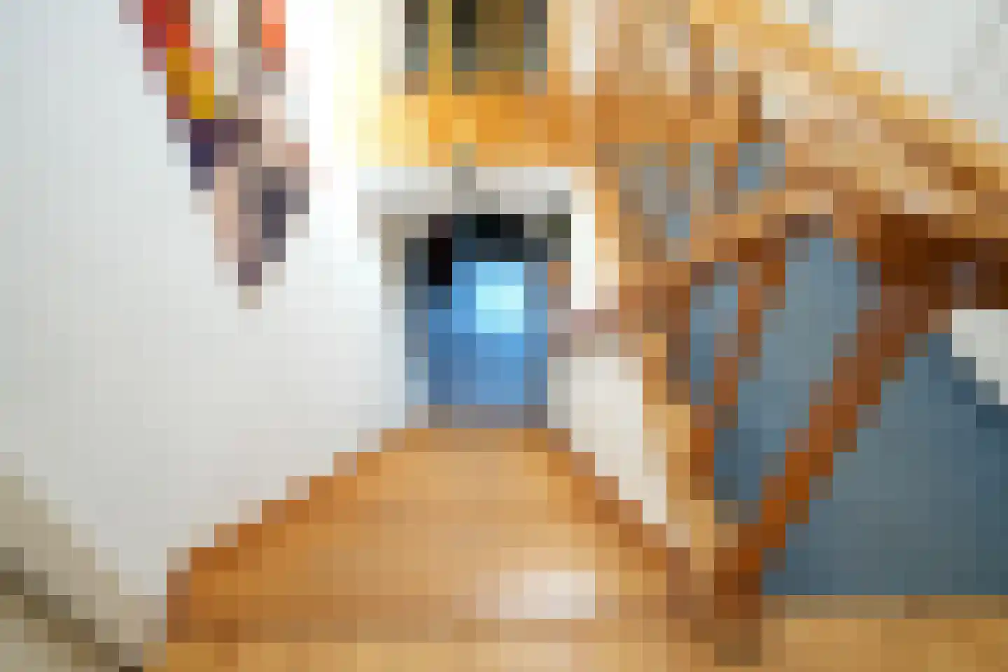 Steegstraat 4 a Urmond thumbnail 15