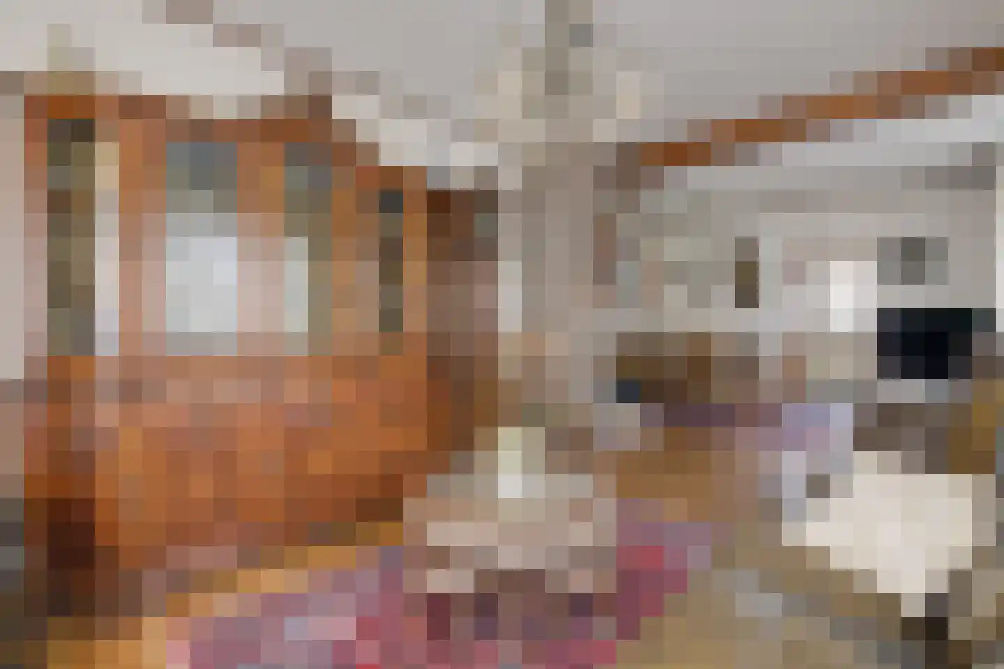 Steegstraat 76 Herkenbosch thumbnail 7