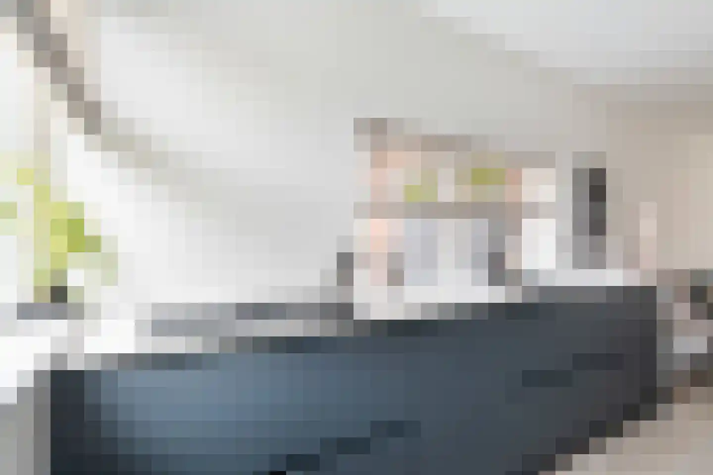 Steekijzer 1 Ederveen thumbnail 10