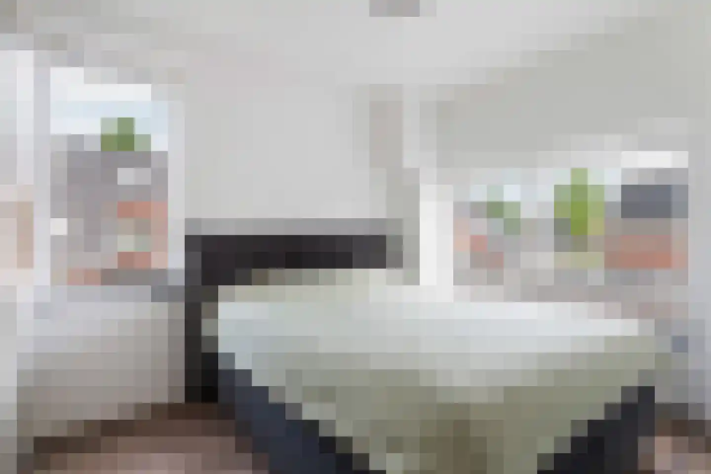 Steekijzer 1 Ederveen thumbnail 13