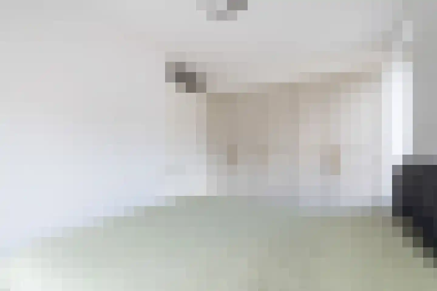 Steekijzer 1 Ederveen thumbnail 15
