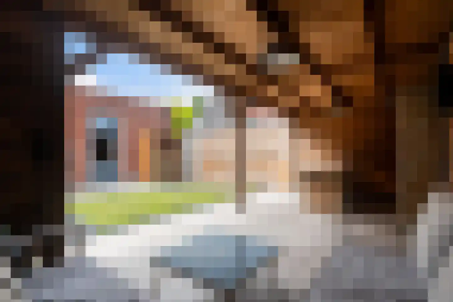 Steekijzer 1 Ederveen thumbnail 25