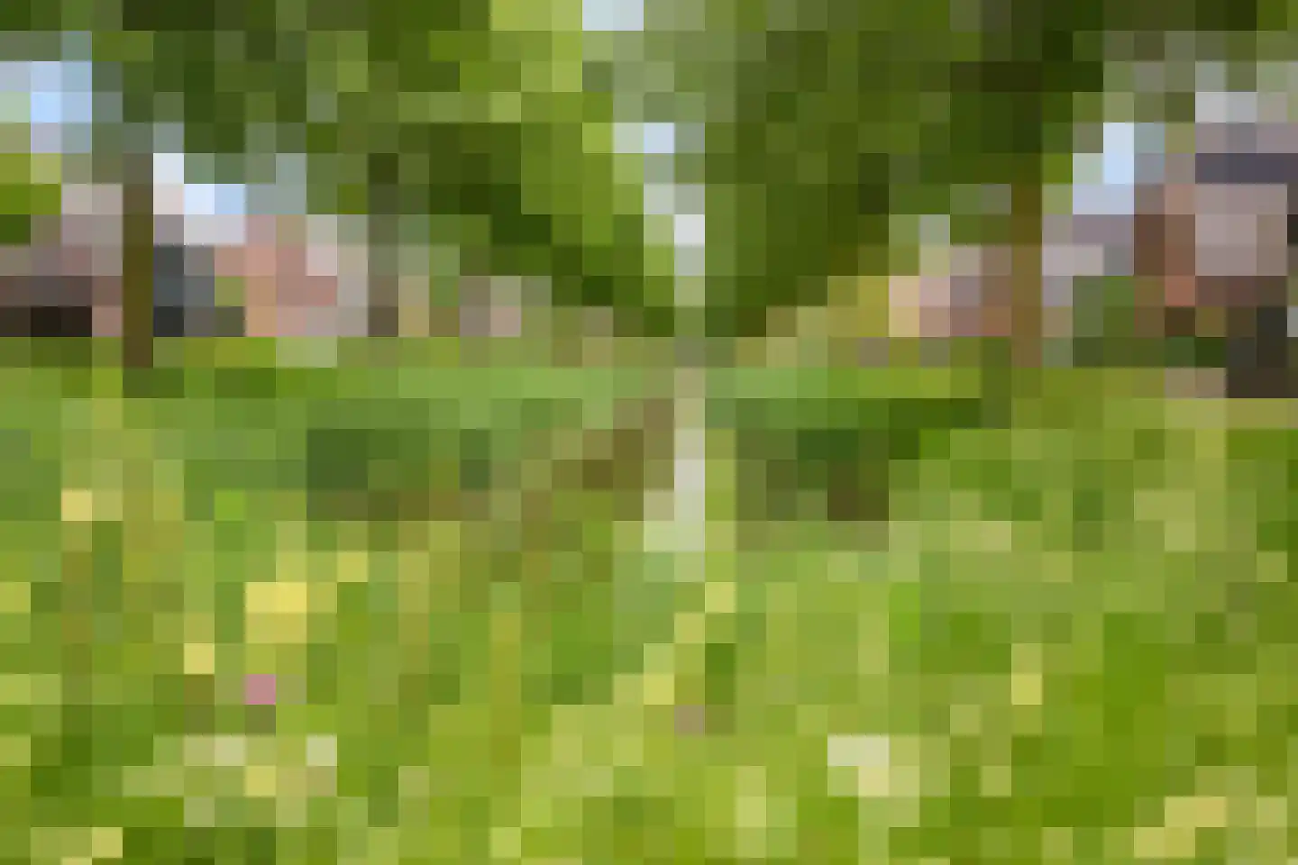 Steekijzer 1 Ederveen thumbnail 33