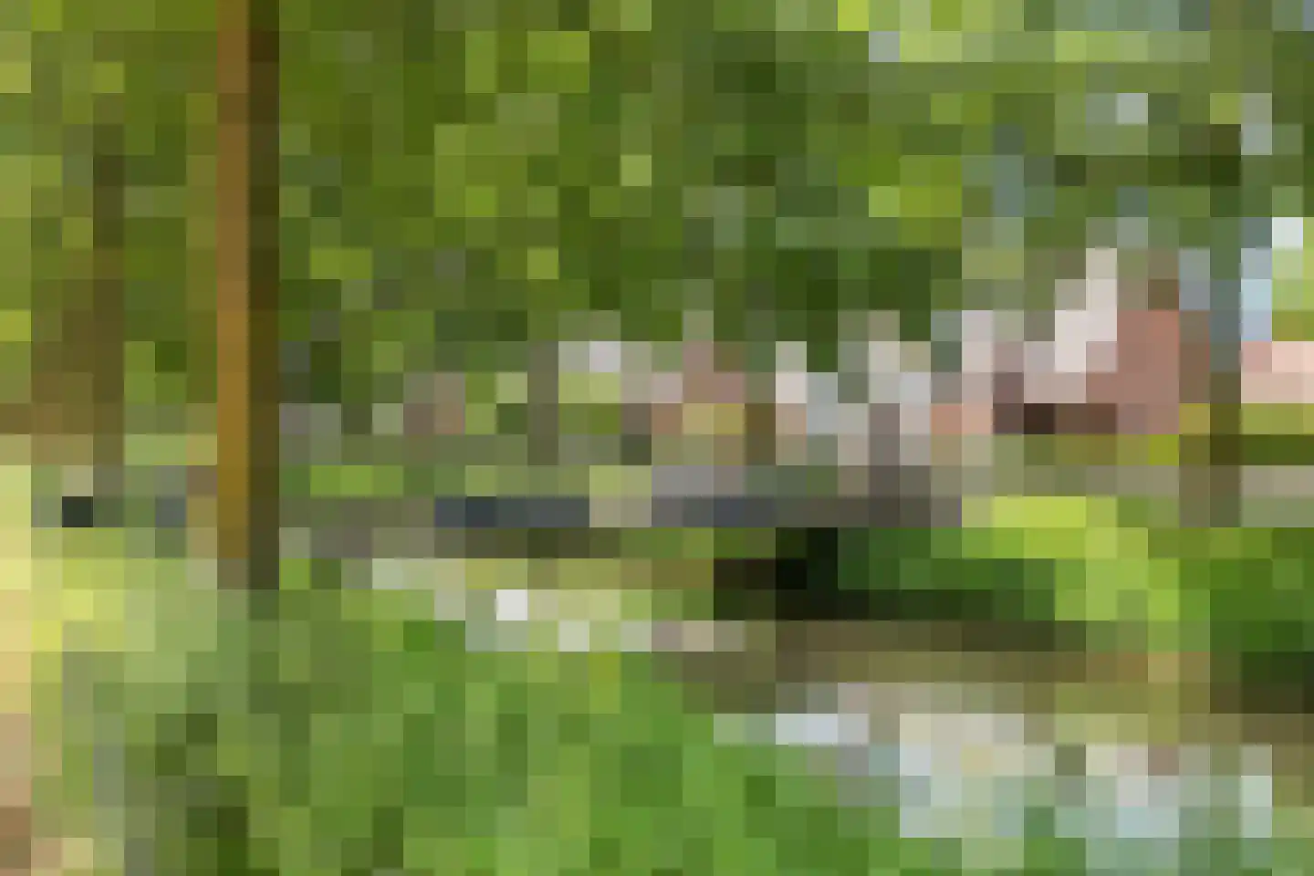 Steekijzer 1 Ederveen thumbnail 34