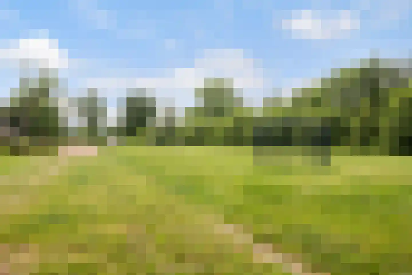 Steekijzer 1 Ederveen thumbnail 35
