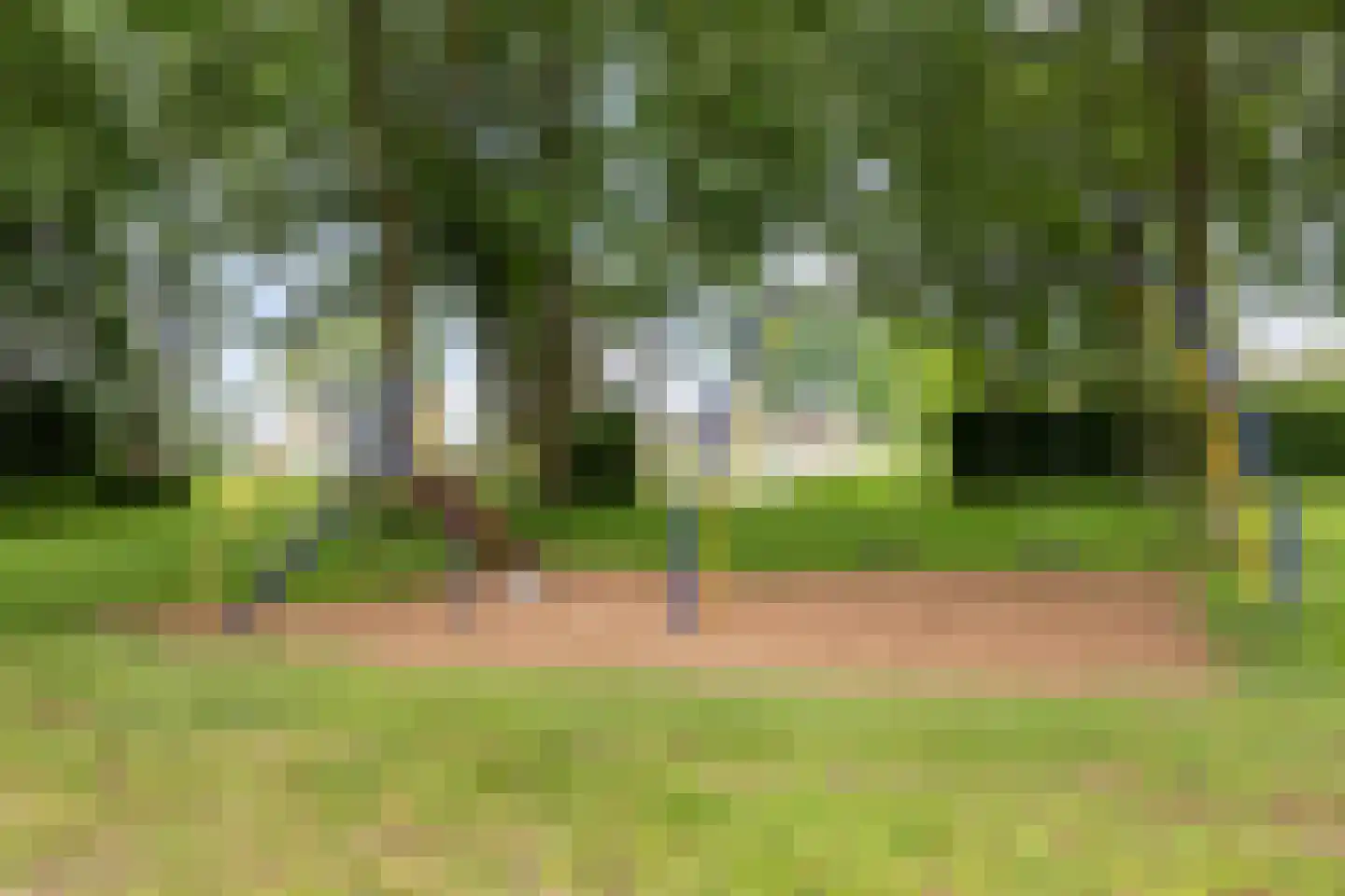 Steekijzer 1 Ederveen thumbnail 36