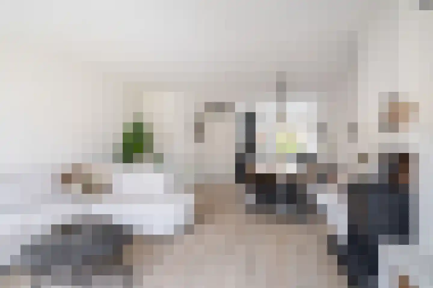 Steekijzer 1 Ederveen thumbnail 6