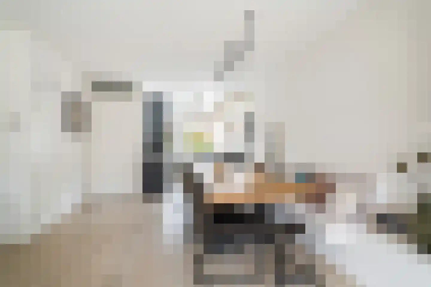 Steekijzer 1 Ederveen thumbnail 8