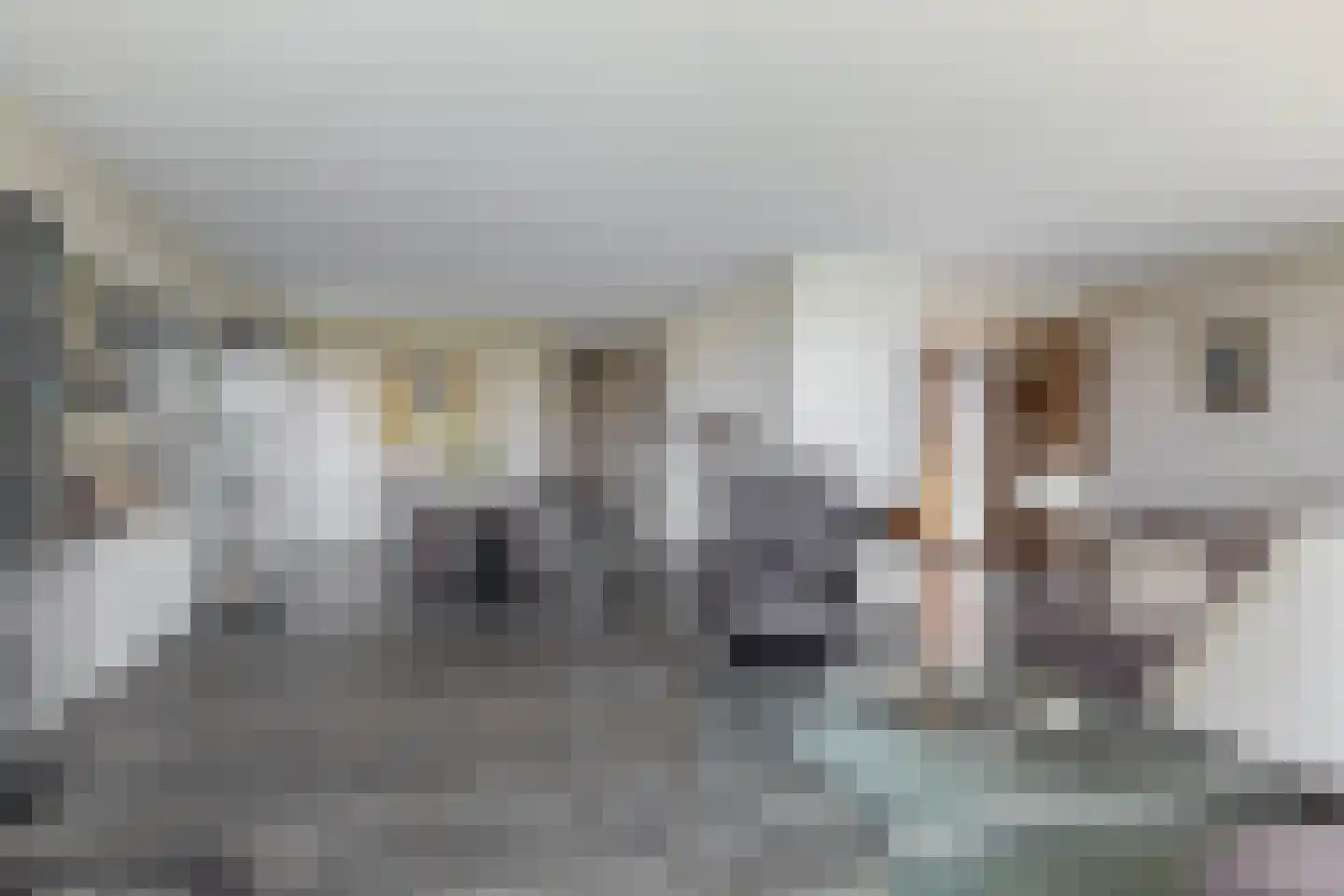 Steekkant 107 Barendrecht thumbnail 11