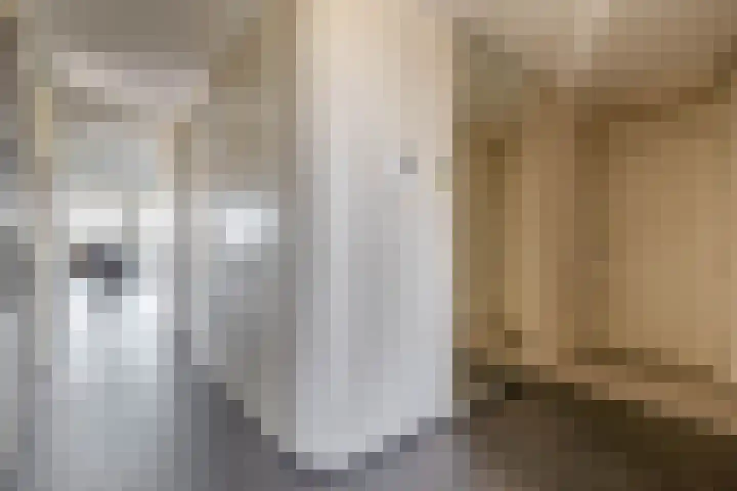 Steekkant 107 Barendrecht thumbnail 8