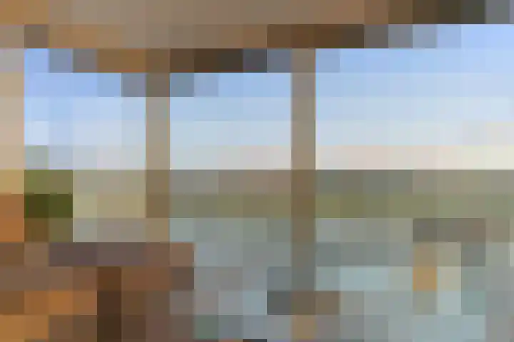Steekkant 135 Barendrecht thumbnail 15