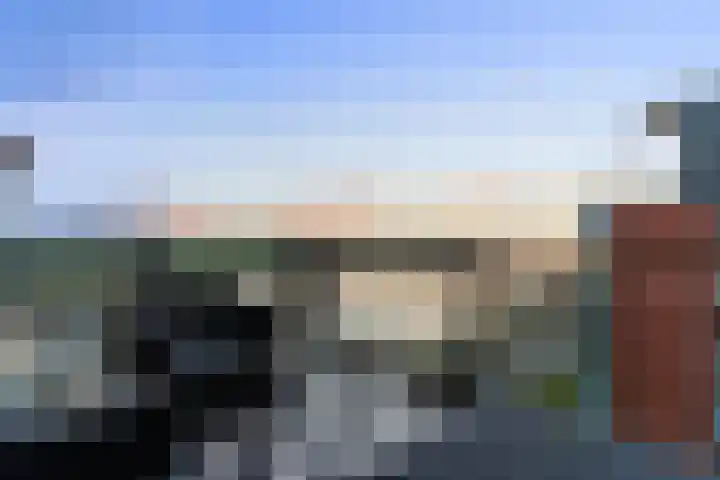 Steekkant 135 Barendrecht thumbnail 17