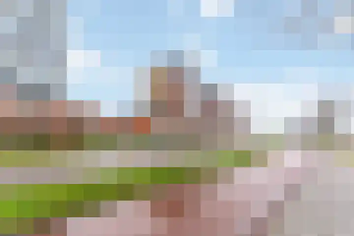 Steekkant 135 Barendrecht thumbnail 39