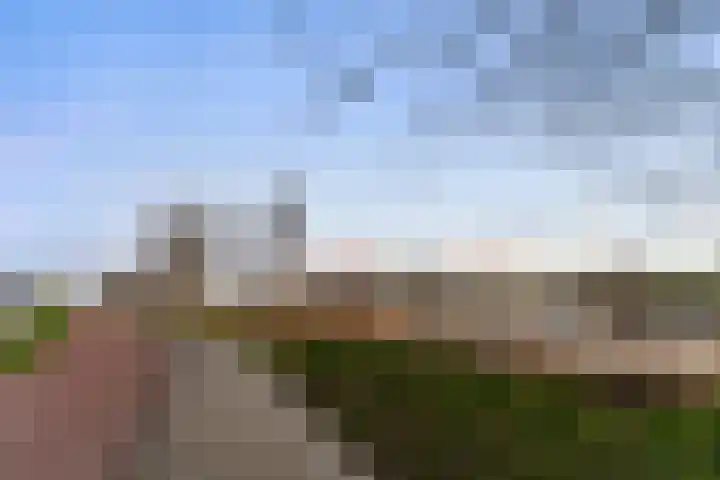 Steekkant 135 Barendrecht thumbnail 43