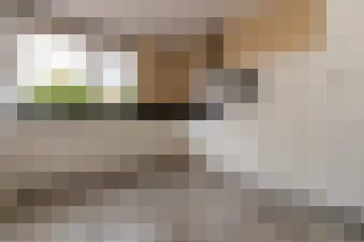 Steekmast 8 Krimpen aan den IJssel thumbnail 13