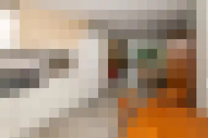 Steekmast 8 Krimpen aan den IJssel thumbnail 15
