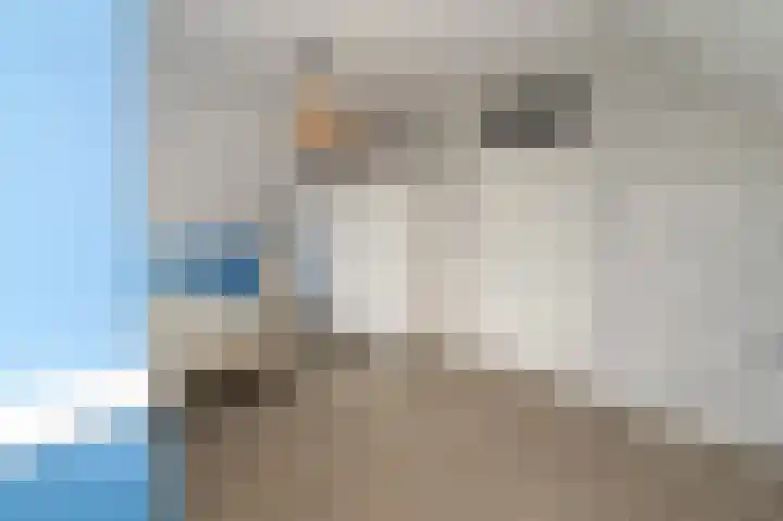 Steekmast 8 Krimpen aan den IJssel thumbnail 30