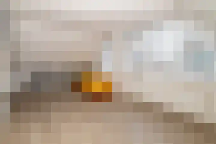 Steekmast 8 Krimpen aan den IJssel thumbnail 32