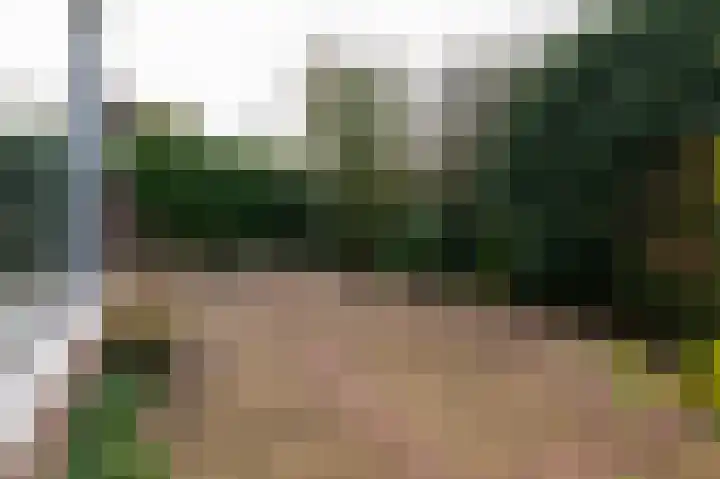 Steekmast 8 Krimpen aan den IJssel thumbnail 37