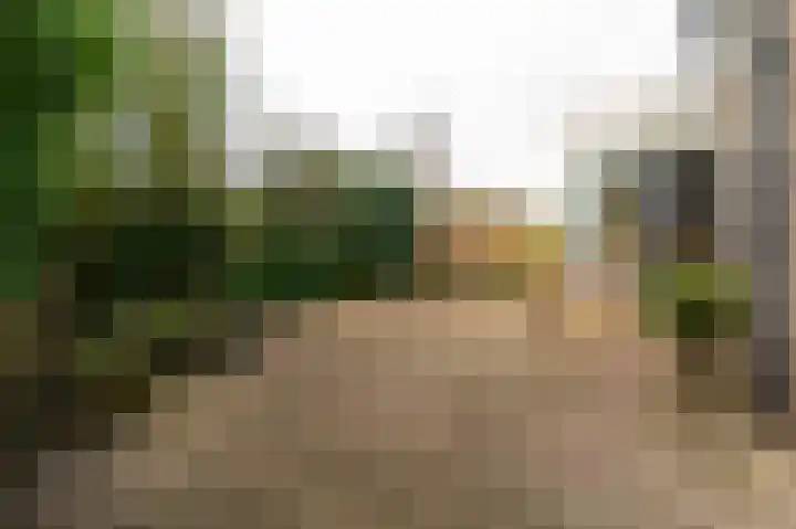 Steekmast 8 Krimpen aan den IJssel thumbnail 4