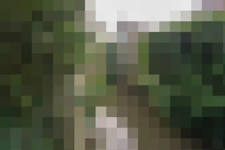 Steekmast 8 Krimpen aan den IJssel thumbnail 5