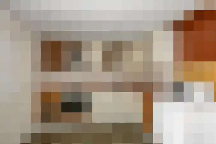 Steekterweg 118 Alphen aan den Rijn thumbnail 4