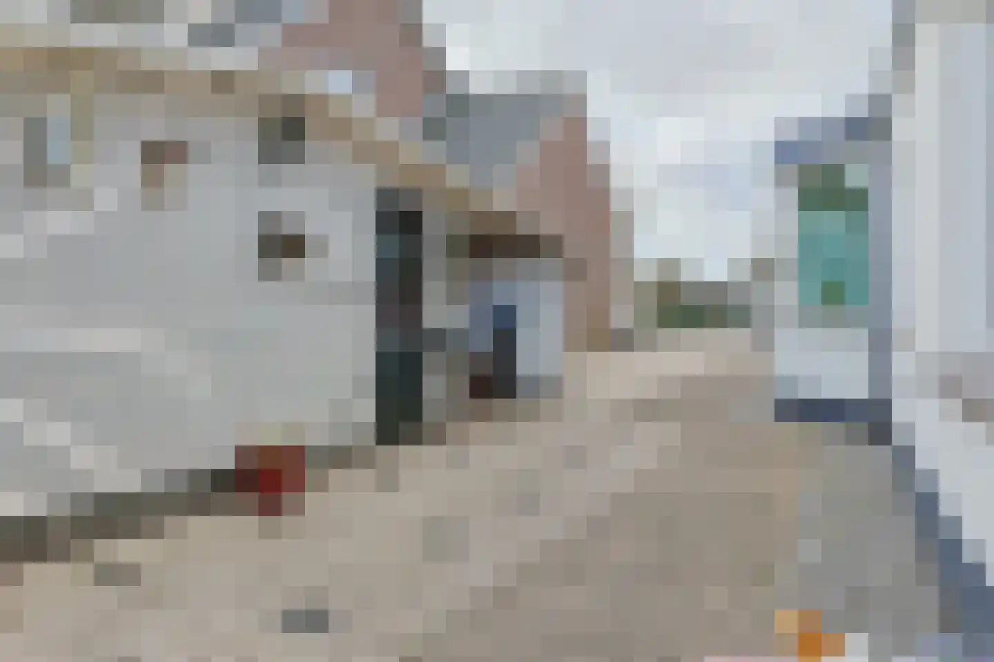 Steekterweg 130 F Alphen aan den Rijn thumbnail 4