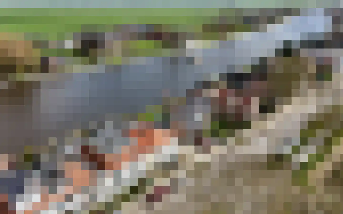 Steekterweg 130 F Alphen aan den Rijn thumbnail 57