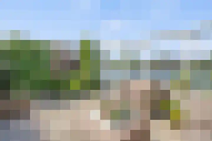 Steekterweg 146 A Alphen aan den Rijn thumbnail 32