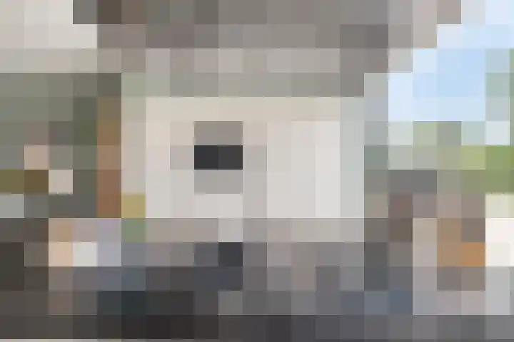 Steekterweg 146 Alphen aan den Rijn thumbnail 15