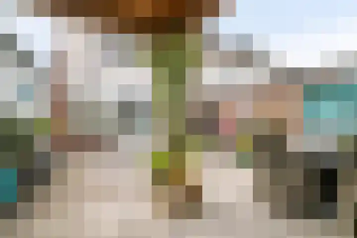 Steekterweg 146 Alphen aan den Rijn thumbnail 37