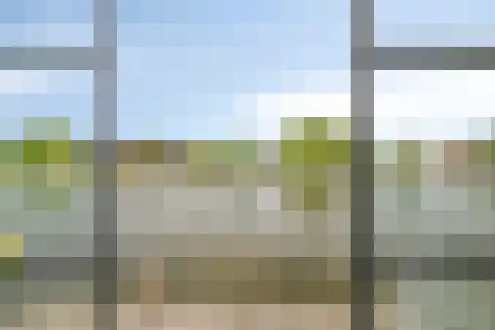 Steekterweg 146 Alphen aan den Rijn thumbnail 39