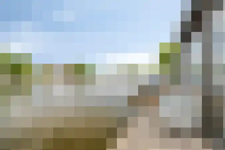 Steekterweg 146 Alphen aan den Rijn thumbnail 40