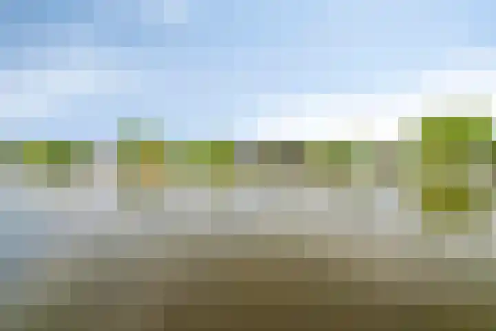 Steekterweg 146 Alphen aan den Rijn thumbnail 41