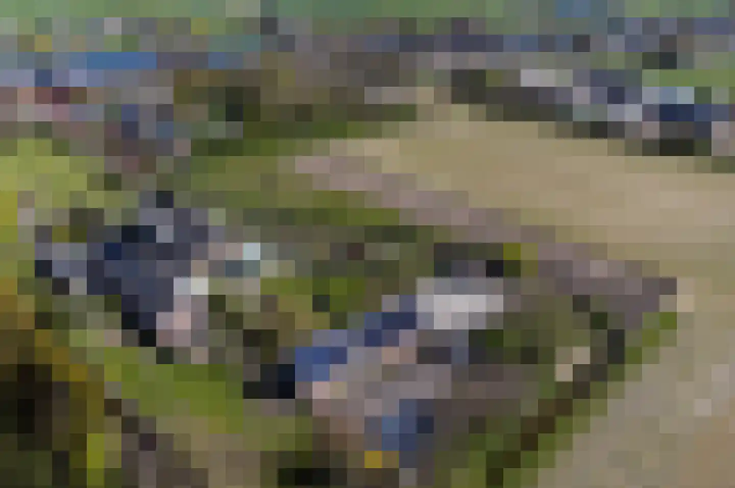 Steekterweg 25 A Alphen aan den Rijn thumbnail 46