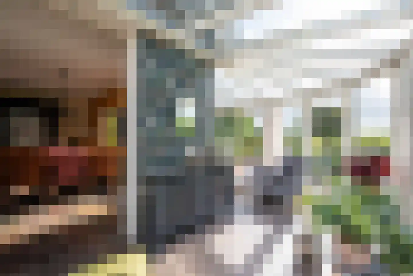 Steekterweg 25 Alphen aan den Rijn thumbnail 14