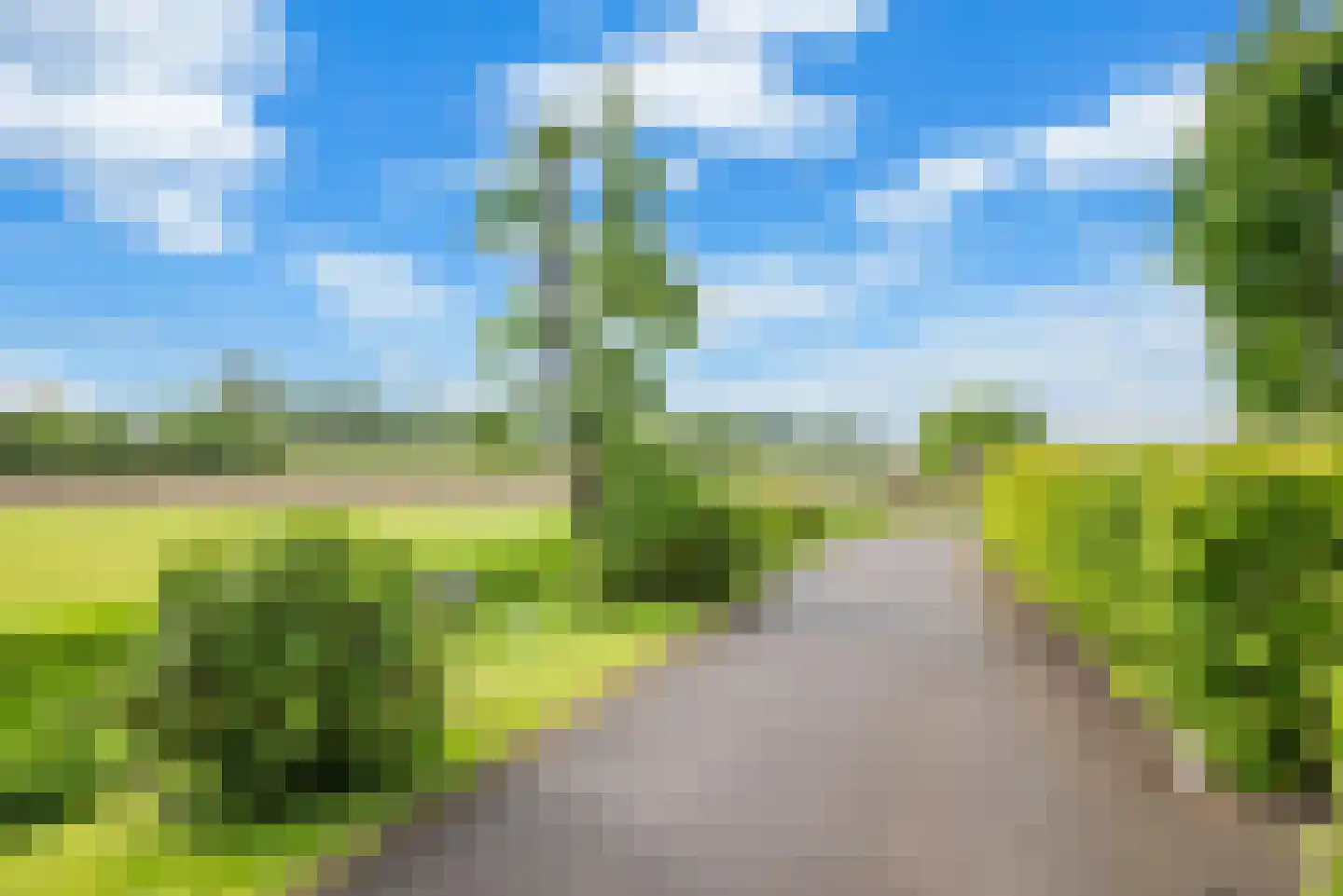 Steekterweg 25 Alphen aan den Rijn foto 3