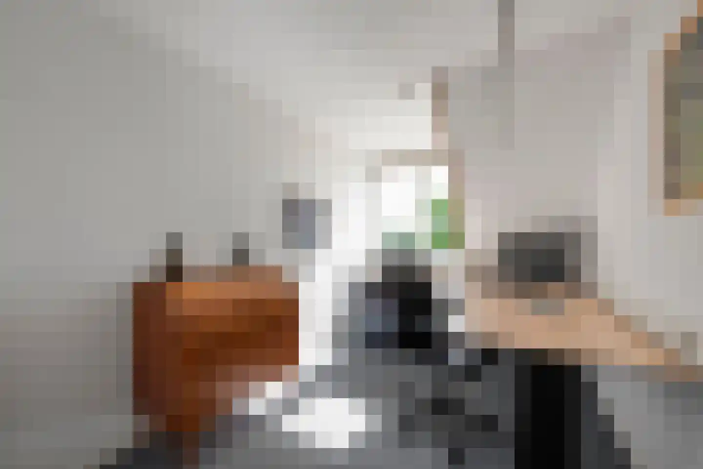 Steekterweg 25 Alphen aan den Rijn thumbnail 60