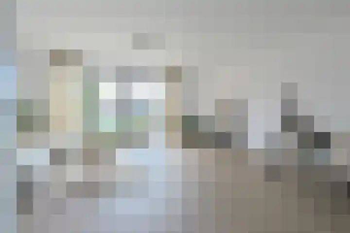 Steekterweg 254 Alphen aan den Rijn thumbnail 10