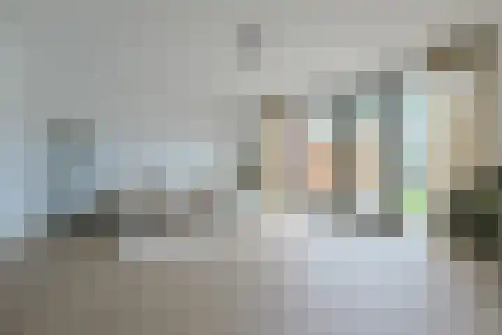 Steekterweg 254 Alphen aan den Rijn thumbnail 12