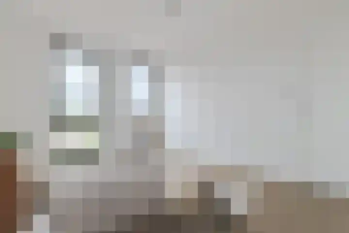 Steekterweg 254 Alphen aan den Rijn thumbnail 30