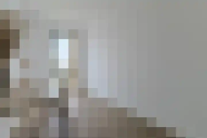 Steekterweg 254 Alphen aan den Rijn thumbnail 33