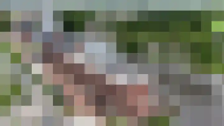 Steekterweg 254 Alphen aan den Rijn thumbnail 4