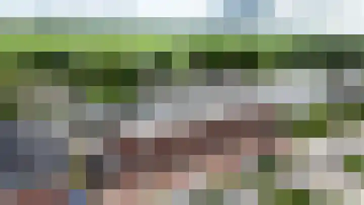 Steekterweg 254 Alphen aan den Rijn thumbnail 5