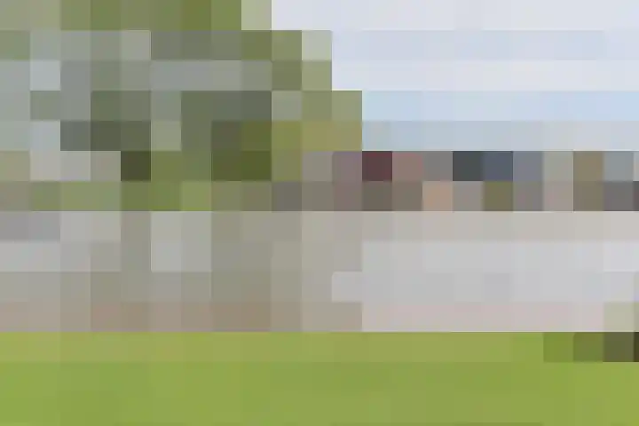 Steekterweg 254 Alphen aan den Rijn thumbnail 55