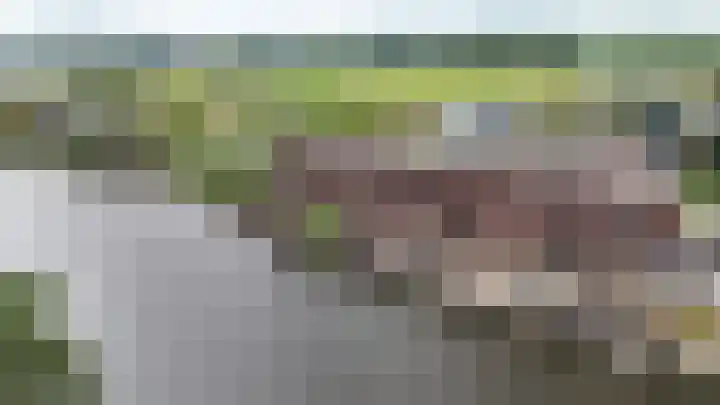 Steekterweg 254 Alphen aan den Rijn thumbnail 58